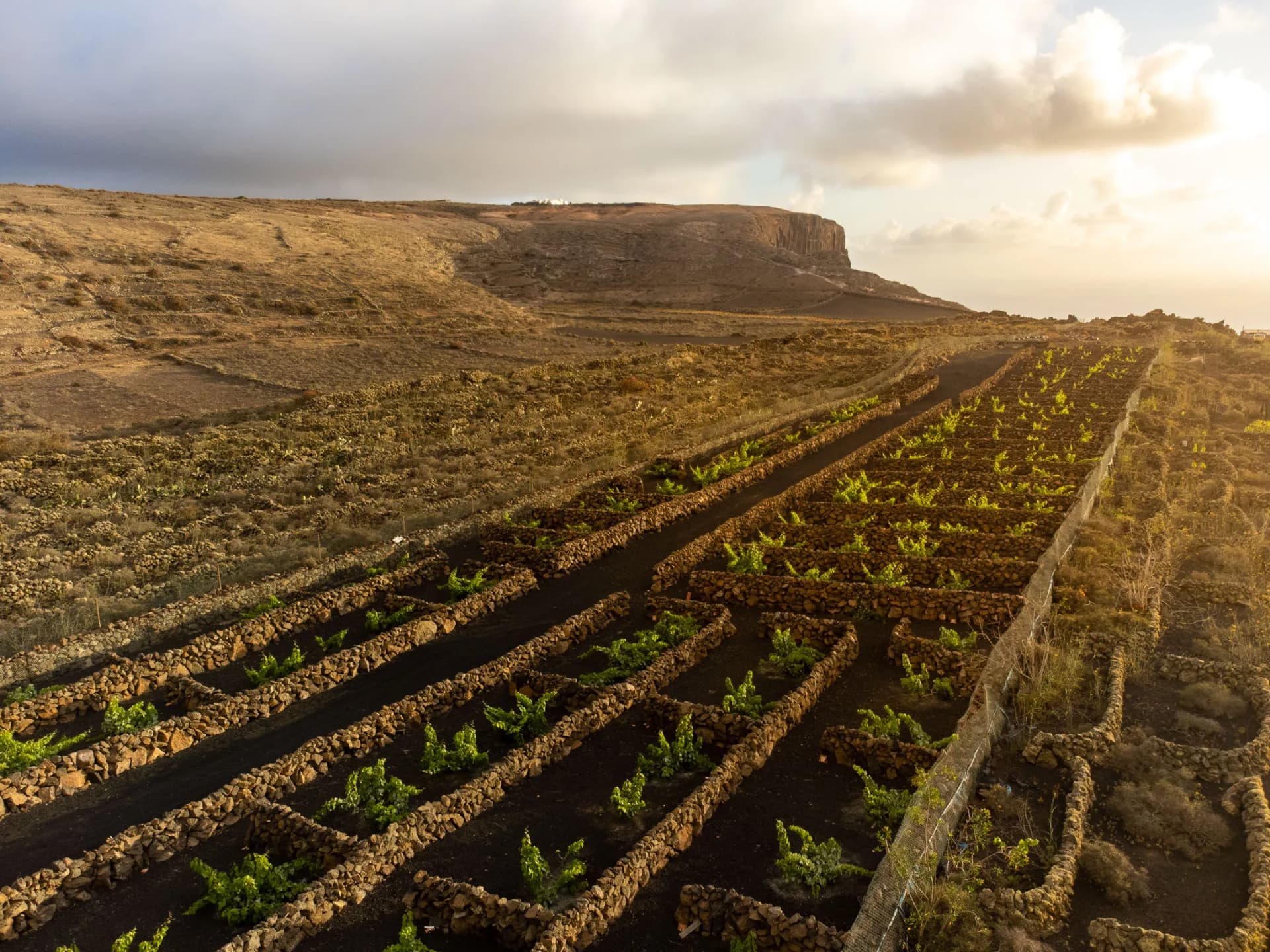 Dramatic Famara cliffs with hiking trail and ocean views towards La Graciosa