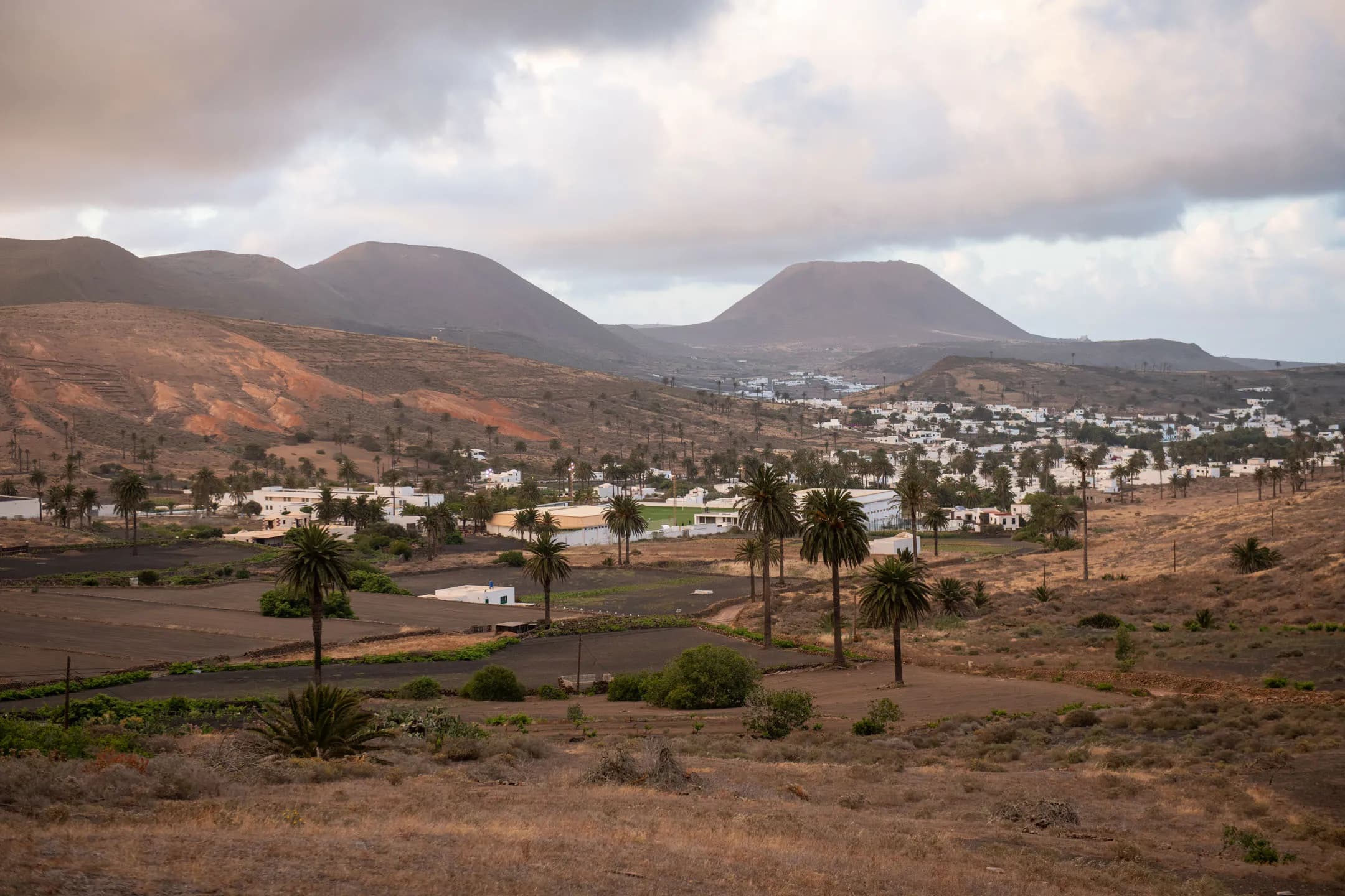 Vista panorámica de Lanzarote con palmeras de Haría