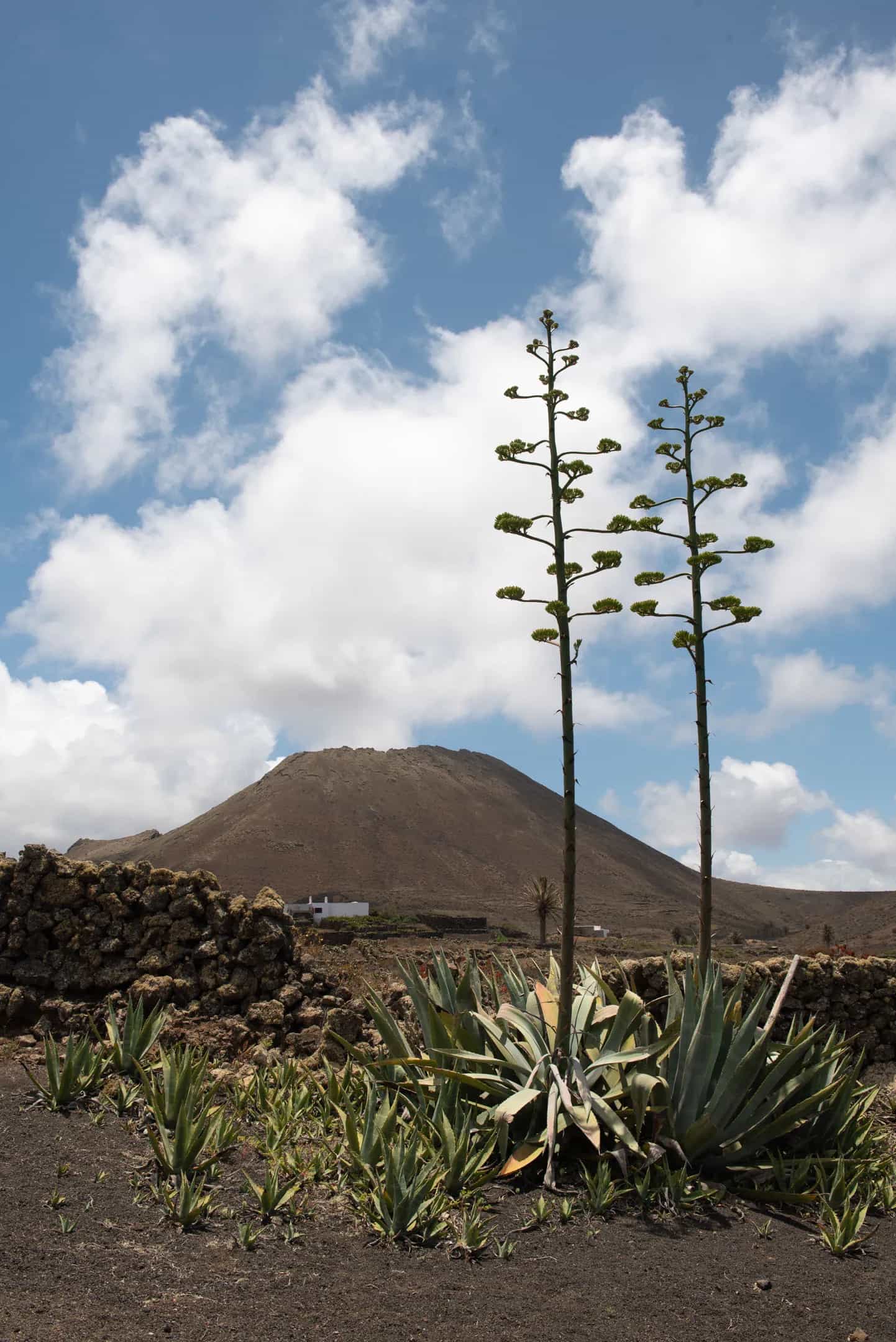 Finca La Corona, Lanzarote - Volcano View